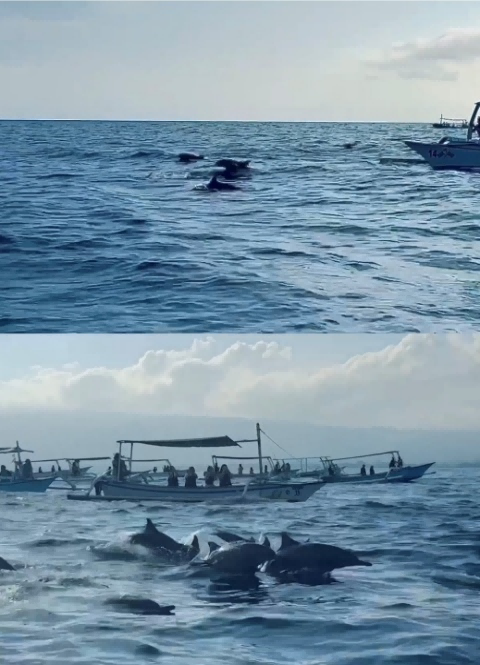 1763367631490629.png 图片8.png